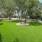 a large green lawn with trees